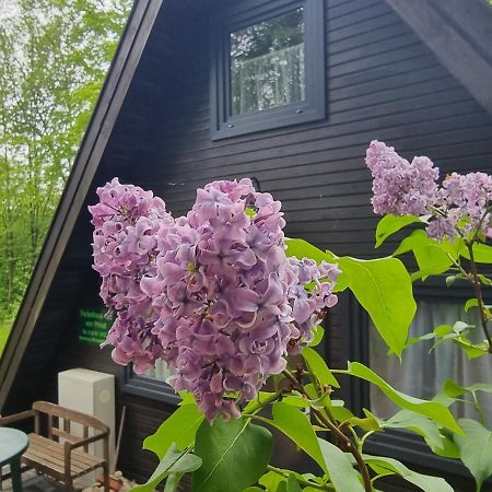 Ferienhaus Marie 125 Bad Arolsen Ngoại thất bức ảnh