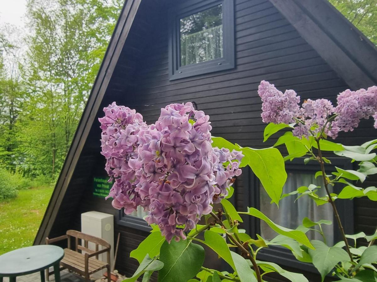 Ferienhaus Marie 125 Bad Arolsen Ngoại thất bức ảnh